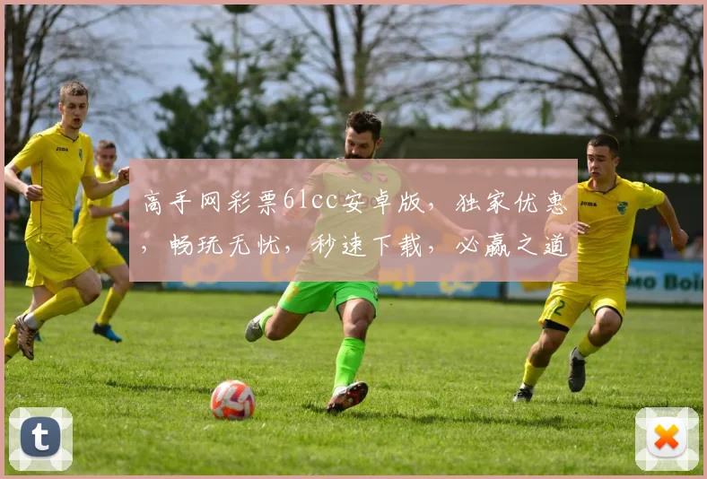 高手网彩票6lcc安卓版，独家优惠，畅玩无忧，秒速下载，必赢之道，快来体验