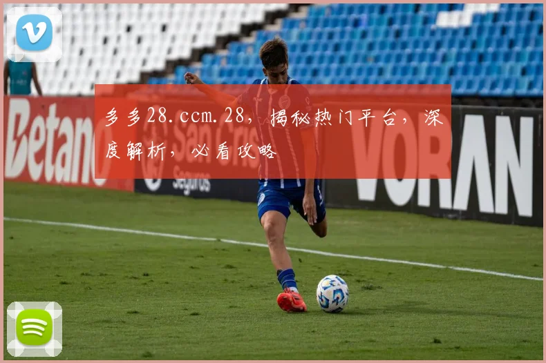 多多28.ccm.28，揭秘热门平台，深度解析，必看攻略
