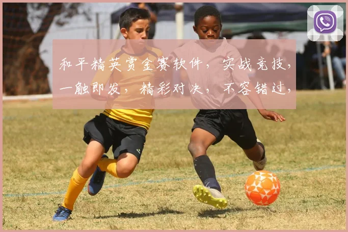 和平精英赏金赛软件，实战竞技，一触即发，精彩对决，不容错过，三重福利等你来