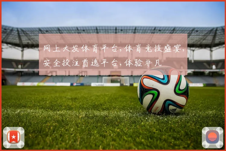 网上大发体育平台,体育竞技盛宴,安全投注首选平台,体验非凡
