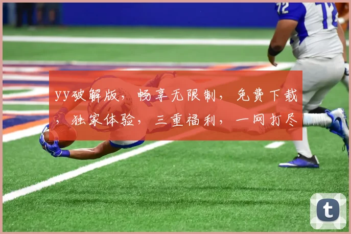 yy破解版，畅享无限制，免费下载，独家体验，三重福利，一网打尽