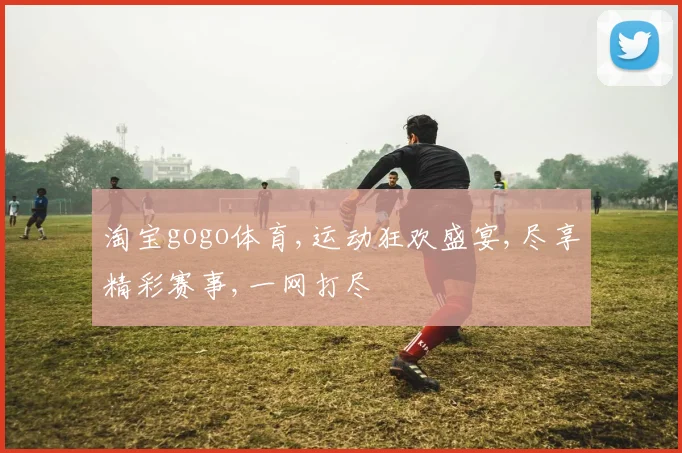 淘宝gogo体育,运动狂欢盛宴,尽享精彩赛事,一网打尽